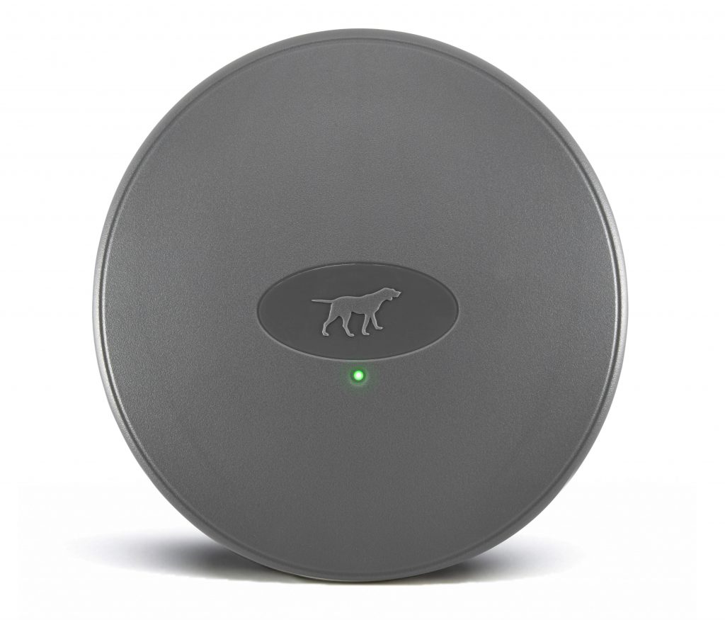 Wireless Dog Fence