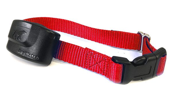dog watch receiver collar