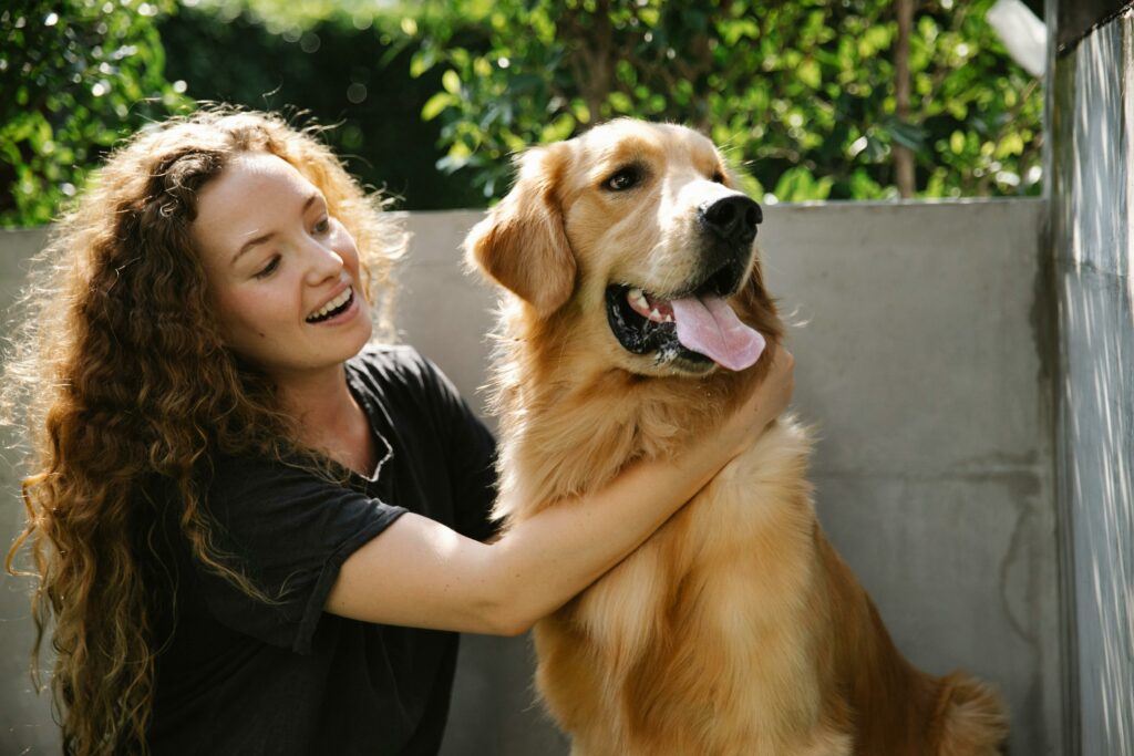dog safety