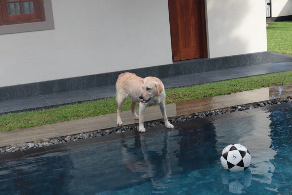 Hidden Fence containment systems for pools