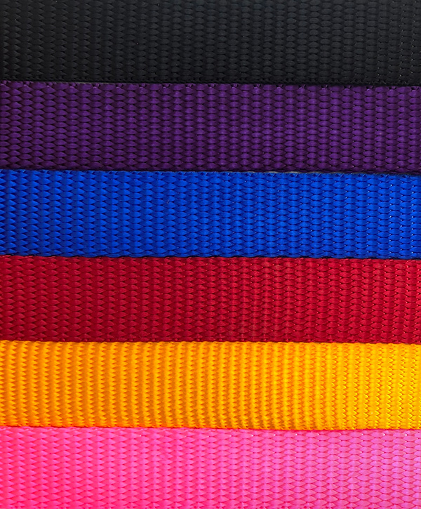 DogWatch ® R12 Mini Receiver Collar - Small Dogs - Image 2